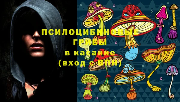 прущие грибы Болхов