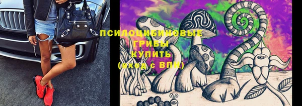 винт Алексеевка