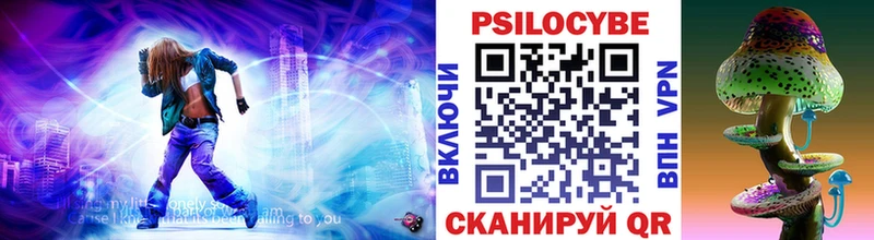 наркотики  mega ссылки  Псилоцибиновые грибы Psilocybine cubensis  Зеленогорск 